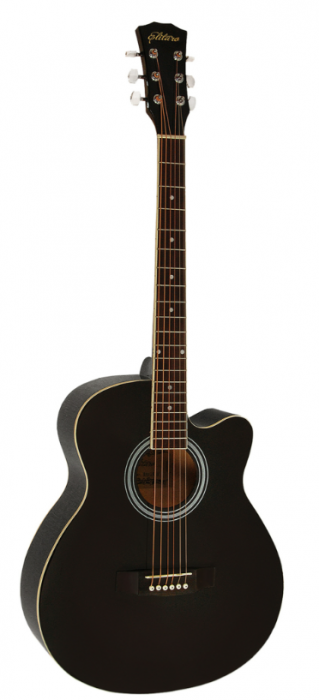 gitara-akusticheskaja-elitaro-e4010-i-e4020-gljanec-i-matovaja