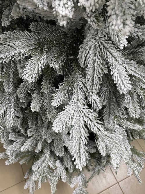 zasnezh5